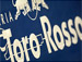 Toro Rosso