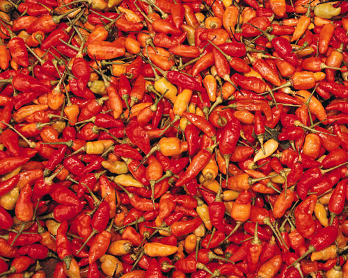 Pimenta vermelha: de 3 a 4 gramas ao dia, no tempero de pratos quentes e saladas