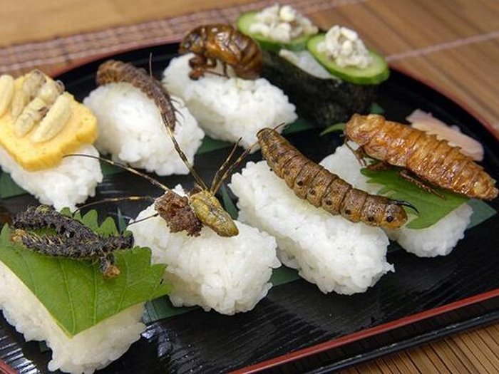 Um delicioso sushi feito de larvas, centopeias, baratas, gafanhotos. Se quiser, pode pedir mosquitos