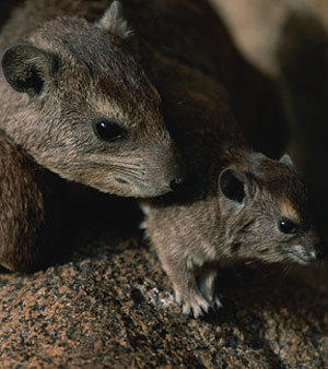 Getty Images