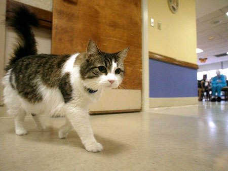 Stew Milne/23.7.2007/AP