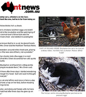 Reprodução/ntnews.com.au