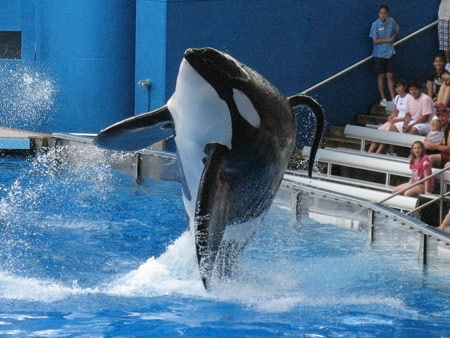 Mathieu Belanger/3.9.2009/Reuters