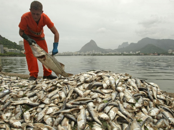 peixes-lagoa-tl