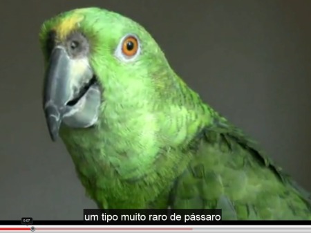 Reprodução