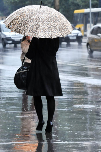 guarda chuva 5g Guarda chuvas estilosos dão cor a dias nublados