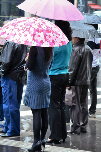 guarda chuva 8g Guarda chuvas estilosos dão cor a dias nublados
