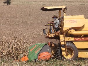 milho-agricultura-hg-20100903