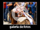 Todos os álbuns de fotos de Esquisitices