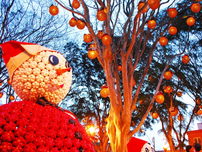 guararema-decoração-natal-g-20101213