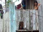 Renda mais distribuída reduz desigualdade
