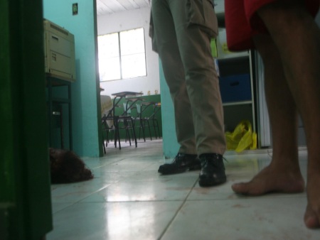 Jadson Marques/Agência Estado