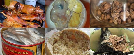 http://i1.r7.com/data/files/2C92/94A4/2409/5999/0124/0C40/501D/121A/comidas-esquisitas-tv-20090930.jpg