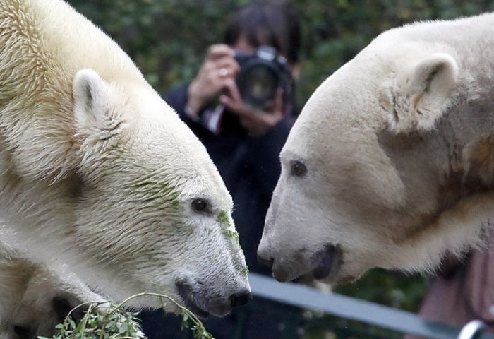Reuters