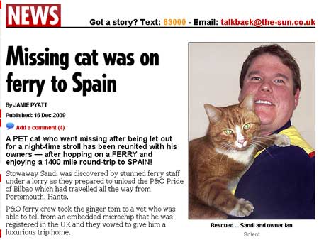 Gato que sumiu na Inglaterra d&aacute; rol&ecirc; de balsa na Espanha ...
