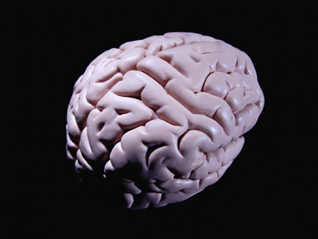 cerebro-hg
