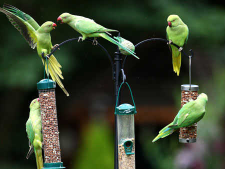 Getty Images