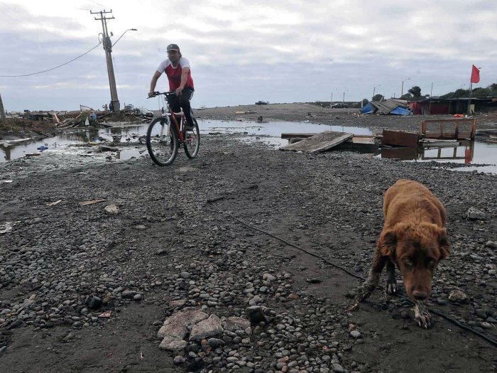 Chileno anda de bicicleta na devastada região de Valparaíso. O abalo ocorrido na madrugada do último sábado (27) no Chile foi maior ao ocorrido no Haiti