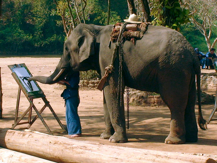 elefante pinta tailândia
