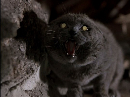 Reprodução / Pet Semetary (EUA, 1989, dir. Mary Lambert)