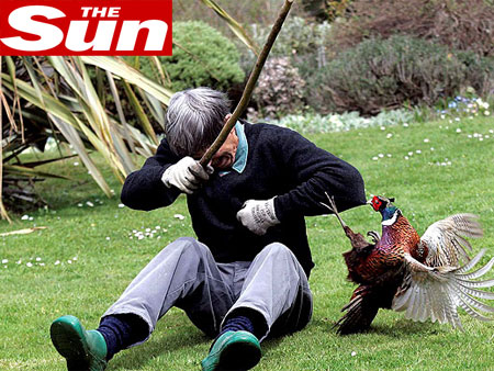 Reprodução (thesun.co.uk)