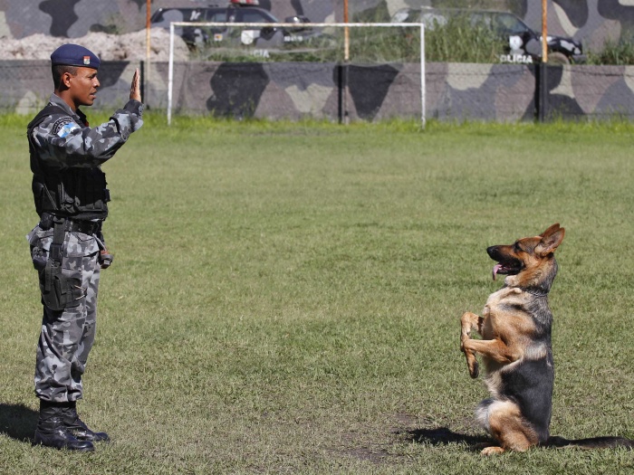 Marcelo Horn / Divulgação Polícia Militar