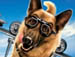 Veja os filmes que chegam ao cinema