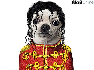 Reprodução/MailOnline