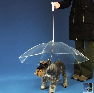 dogbrella