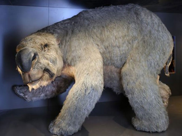 http://i2.r7.com/diprotodonte_reprod_AustralianMuseum_700.jpg