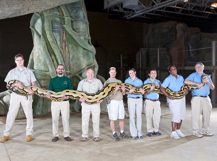 Reprodução/Guinness Book Of Records