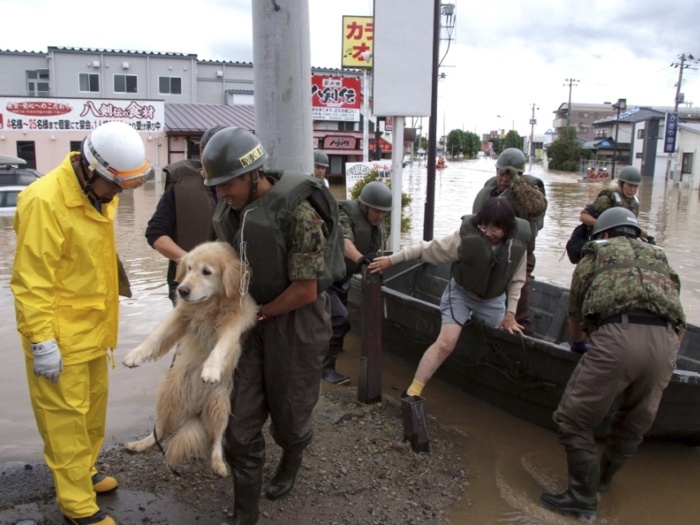 Os bicinhos aprontaram bastante essa semana pelo mundo. Este cachorro foi resgatado pela defesa civil japonesa. Ele tinha ficado preso numa inundação na ci...