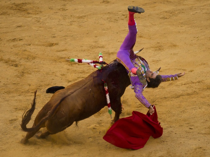A tourada também é um espetáculo tradicional em Portugal e na França, além de ser  bem comum em outros países como México, Colômbia, Peru, Venezuela e Guat...