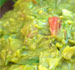 Receita que leva abacate é salgada e tem sabor único