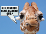 Veja os pescoços mais bizarros que existem