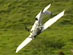 Avião fica pendurado em fio de alta tensão
