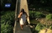 2202-ponte