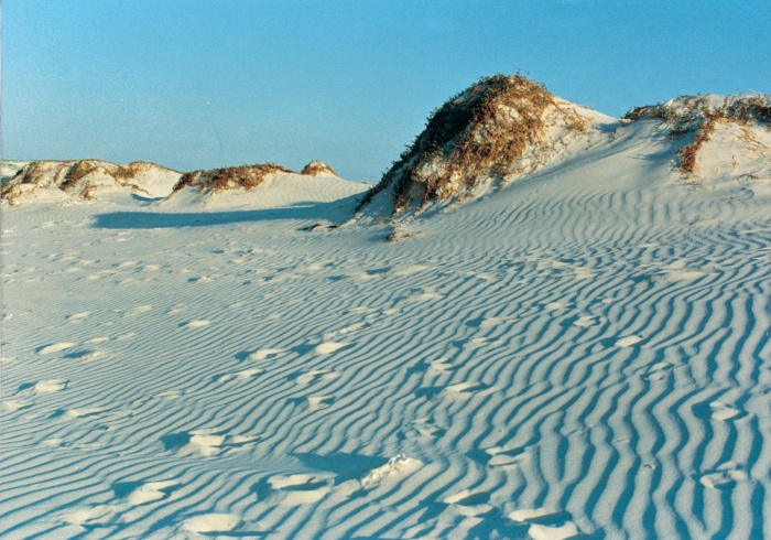 Dunas