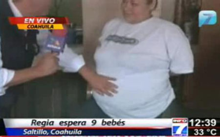 gravida mexicana