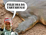 Hoje é Dia da Tartaruga!