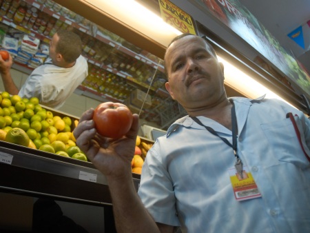 tomate-450x338