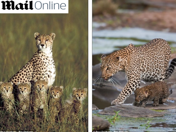 Reprodução/Mail Online