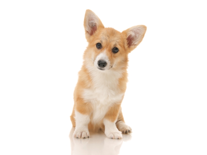 Thinkstock