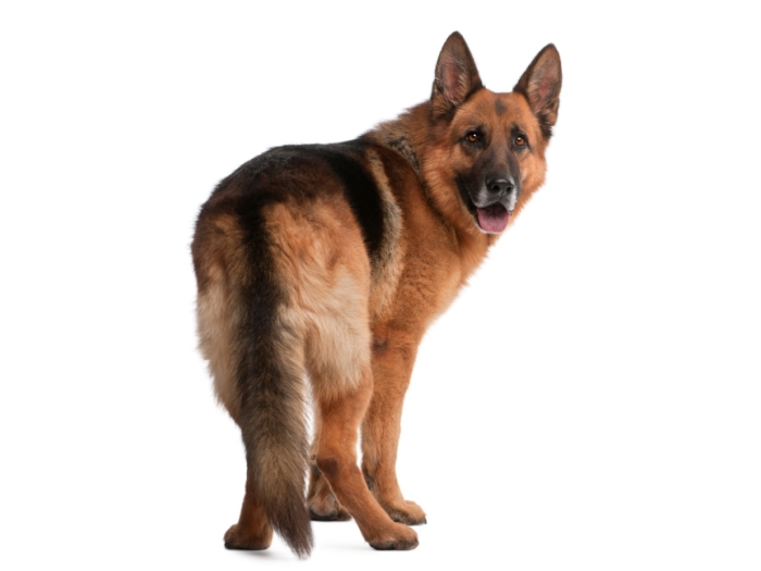Thinkstock