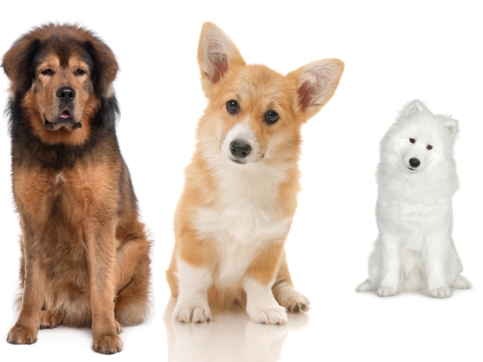 Thinkstock
