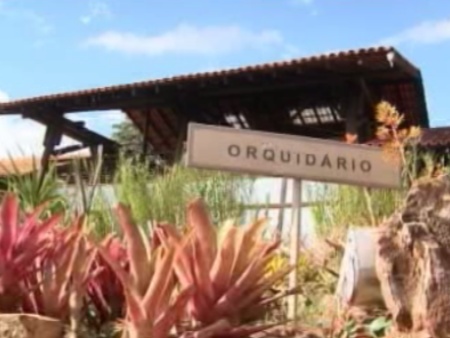 O orquidário do Jardim Botânico do DF reúne várias espécies do Brasil e do mundo