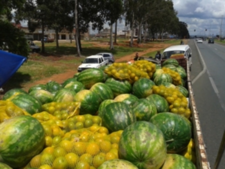 Quase cinco toneladas de frutas vendidas sem autoriza&ccedil;&atilde;o foram ...