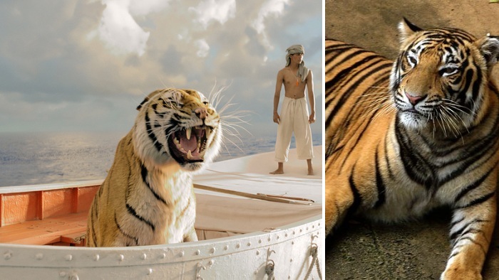 Bichos s&atilde;o destaque em As Aventuras de Pi, um dos maiores ...