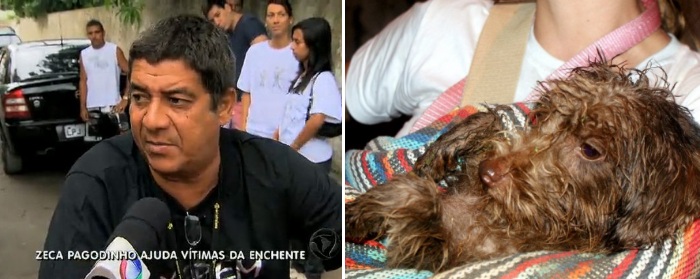Zeca Pagodinho abre sua casa para salvar animais v&iacute;timas das ...