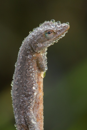 Mark Bridger/The Grosby Group